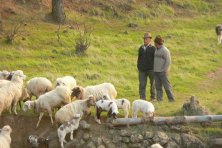 Jornada de Adiestramiento del Perro Pastor 
