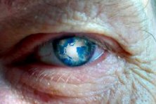 Día Internacional de las Personas Mayores