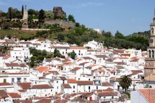 Exhibiciones y visitas guiadas 