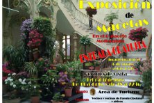 Exposición de macetas en Fuente Obejuna