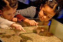 Museo Etnográfico: Actividades para niños