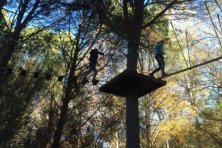 Bosque Suspendido de la Sierra Norte