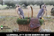 III Campeonato de Altanería de Extremadura