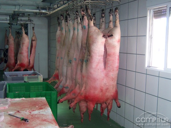 Chacinas Manuel Castillo