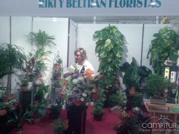 Beltrán Floristas 