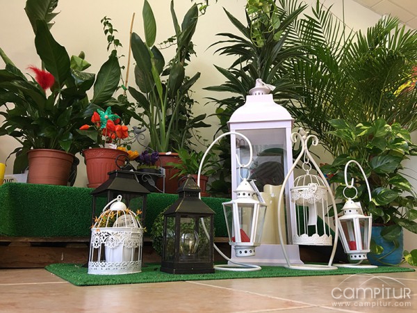 La Amapola Floristería 