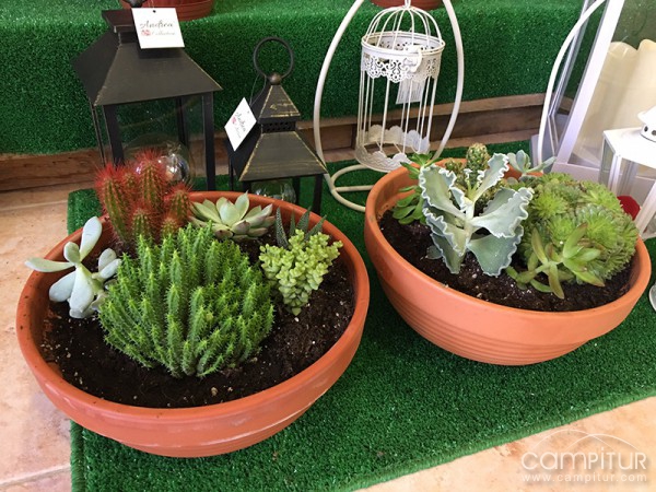 La Amapola Floristería 