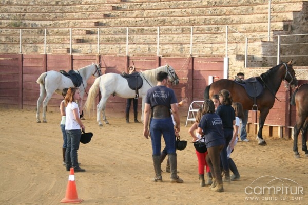 Escuela Hípica Hinojosa
