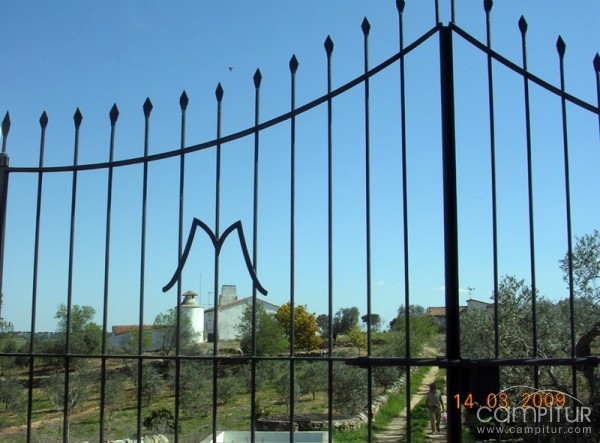 Casa Rural Viña del Duco 