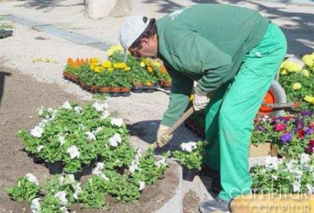El ayuntamiento de Cazalla pondrá en marcha una nueva Escuela Taller 