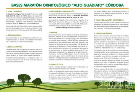 Maratón Ornitológico ZEPA Alto Guadiato 