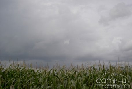 La reserva hidráulica española se encuentra al 81,7% de su capacidad total