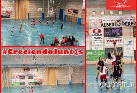 C.B. Campiña Sur de Llerena resultados fin de semana 