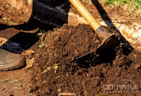 Fomento de la Campiña Sur abre convocatoria para un puesto de peón de jardinería  