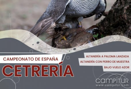 Llerena acoge el Campeonato de España de Cetrería