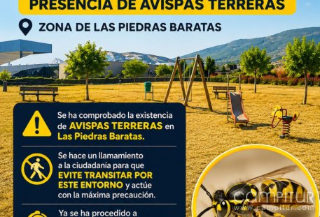 Alertan de la presencia de avispas terreras en Las Piedras Baratas