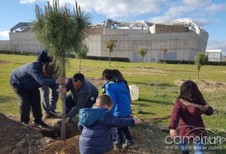50 pinos por los 50 años de la Coronación Canónica de la Virgen de la Granada 